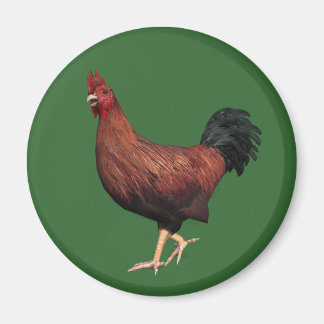 Imán Rooster Rojo