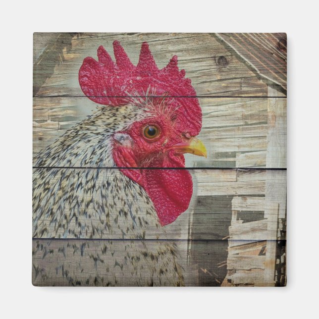 Imán Rooster Rustic Chicken Coop Barn Board (Frente)