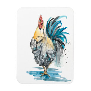 Imán Rooster Splash - Retrato color agua