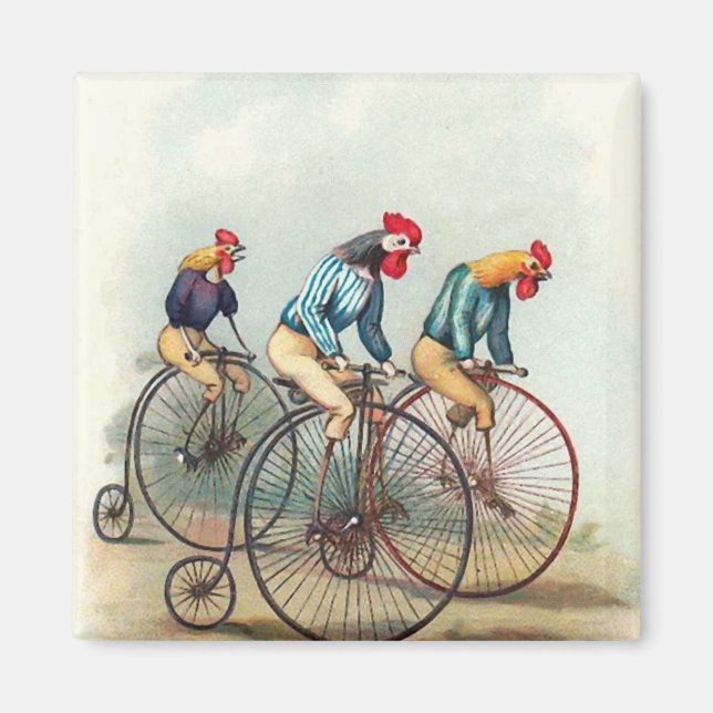 Imán Roosters (Frente)