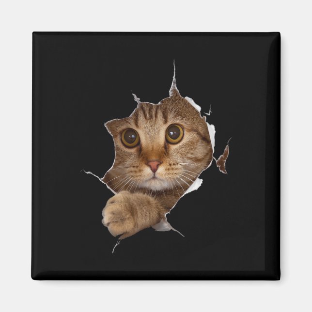 Imán Ropa de felino dulce desgarrada - Grasa divertida  (Frente)
