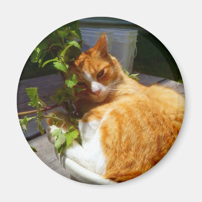 Imán Ropa en una olla (Frente)