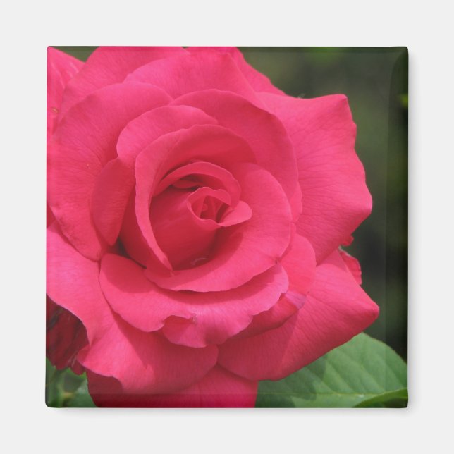 Imán Rosa (Frente)