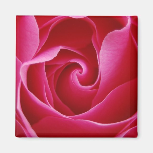 imán Rosa (Frente)