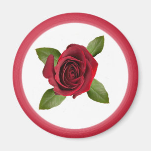 imán Rosa