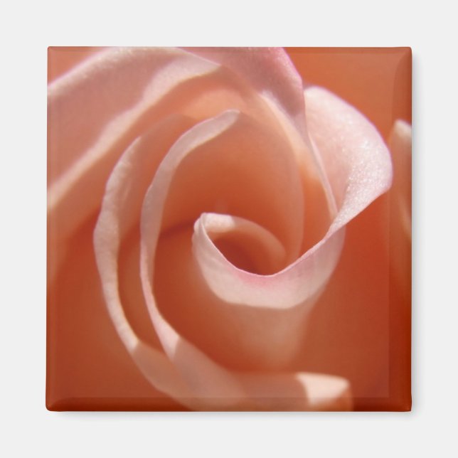 imán Rosa (Frente)