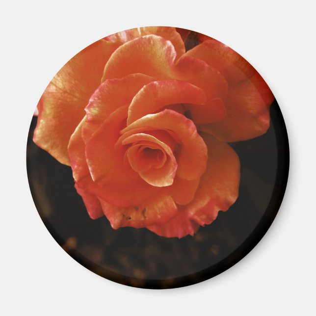 Imán Rosa (Frente)