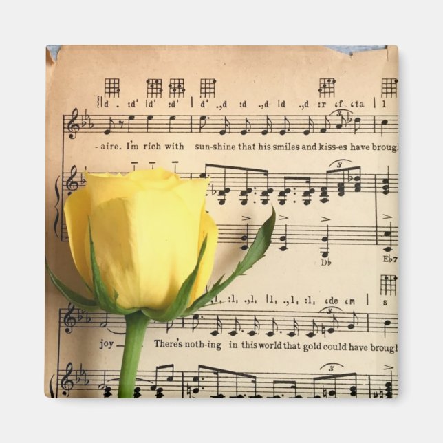Imán Rosa amarilla de la música de la hoja (Frente)