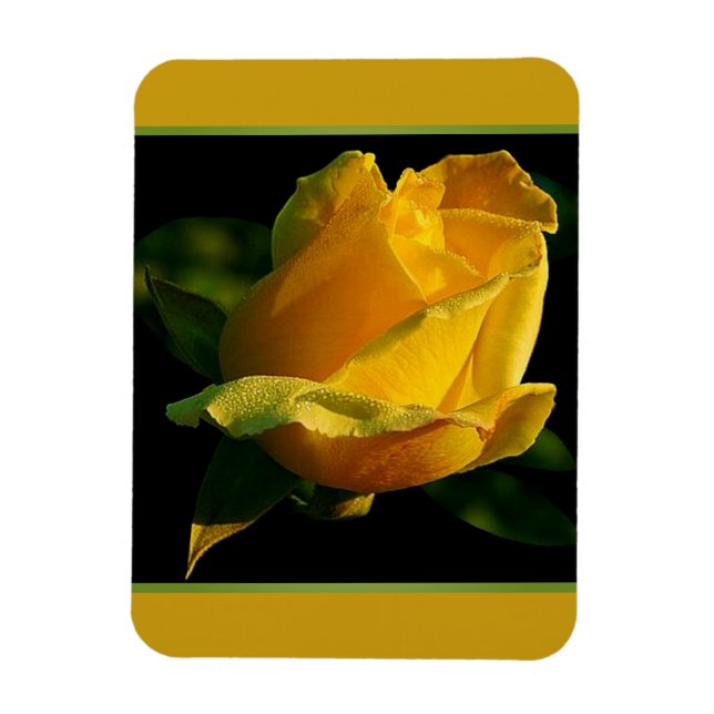Imán Rosa Amarilla Grande  (Vertical)