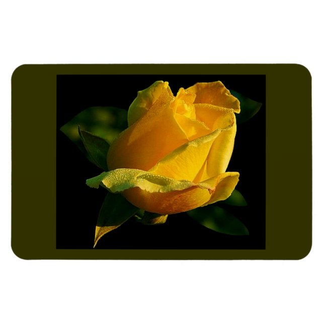 Imán Rosa Amarilla grande (Horizontal)