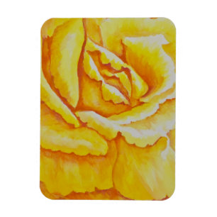 Imán Rosa amarillo