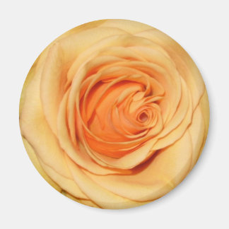 Imán rosa amarillo