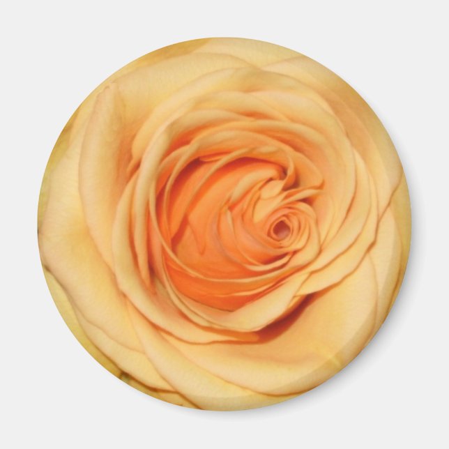 Imán rosa amarillo (Frente)