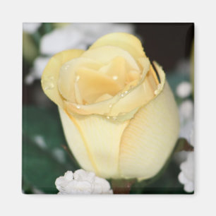 Imán Rosa amarillo