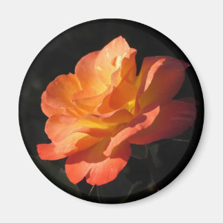 Imán Rosa amarillo y Naranja