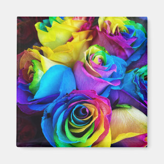 Imán Rosa arcoiris