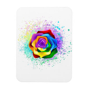 Imán Rosa Arcoíris Colorida