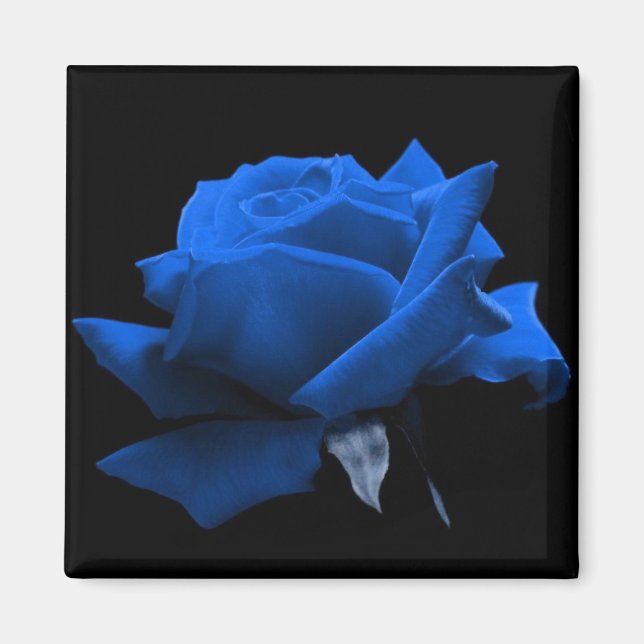 Imán Rosa azul (Frente)
