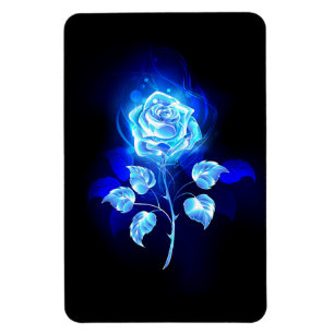 Imán Rosa Azul Ardiente
