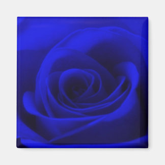 Imán Rosa azul de medianoche