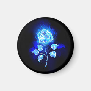Imán Rosa azul en llamas