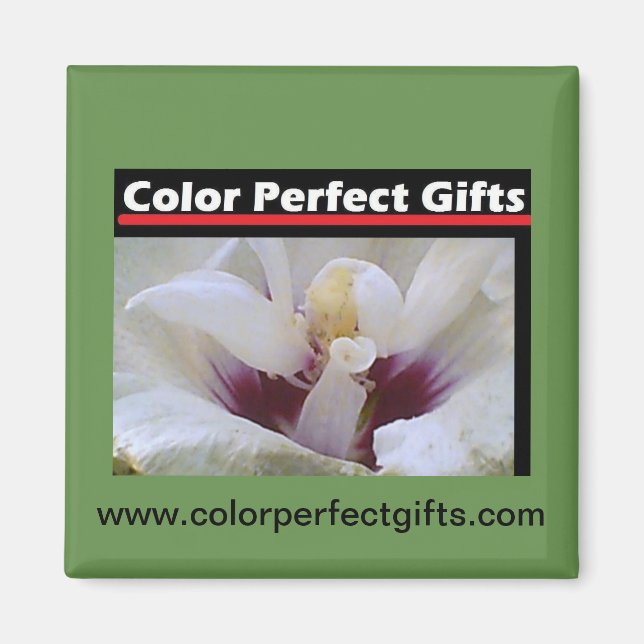 Imán Rosa blanca (Frente)