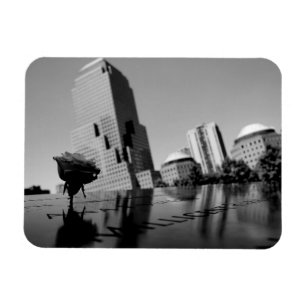 Imán Rosa blanca del recuerdo