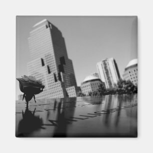 Imán Rosa blanca del recuerdo