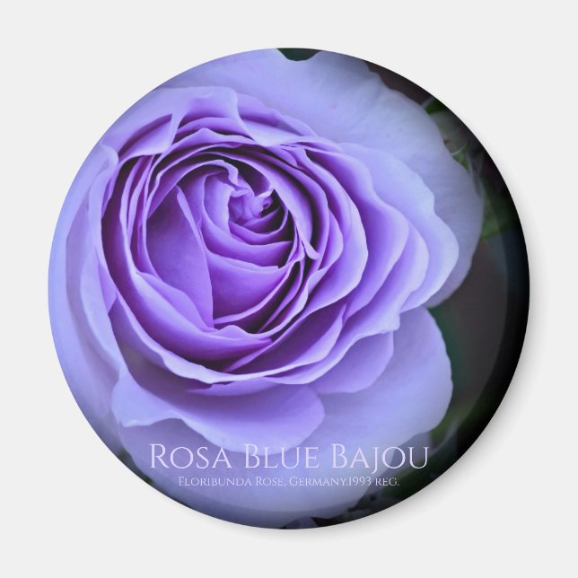 Imán Rosa Blue Bajou (Frente)