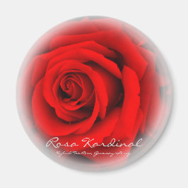 Imán Rosa Cardenal
