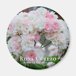 Imán Rosa Cerezo