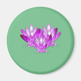 Imán Rosa con flores de Lotus sobre fondo verde marino