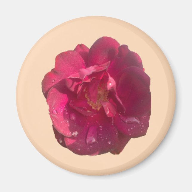 IMÁN ROSA D (Frente)