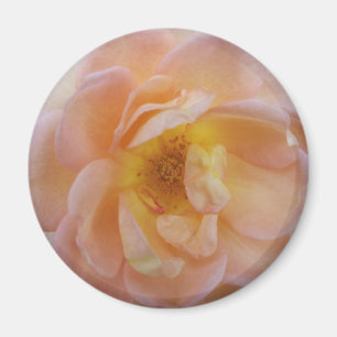 Imán Rosa de color rosa
