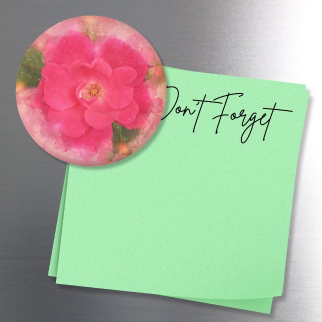 Imán Rosa de color rosa de Knockout (This watercolor style pink knockout rose photo magnet adds a pretty touch to any magnetic surface!)