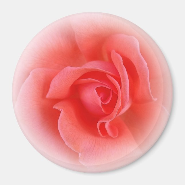 Imán rosa de coral rosa (Frente)