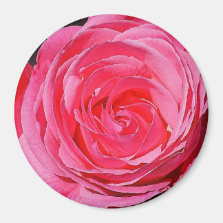 Imán Rosa de escalada rosa