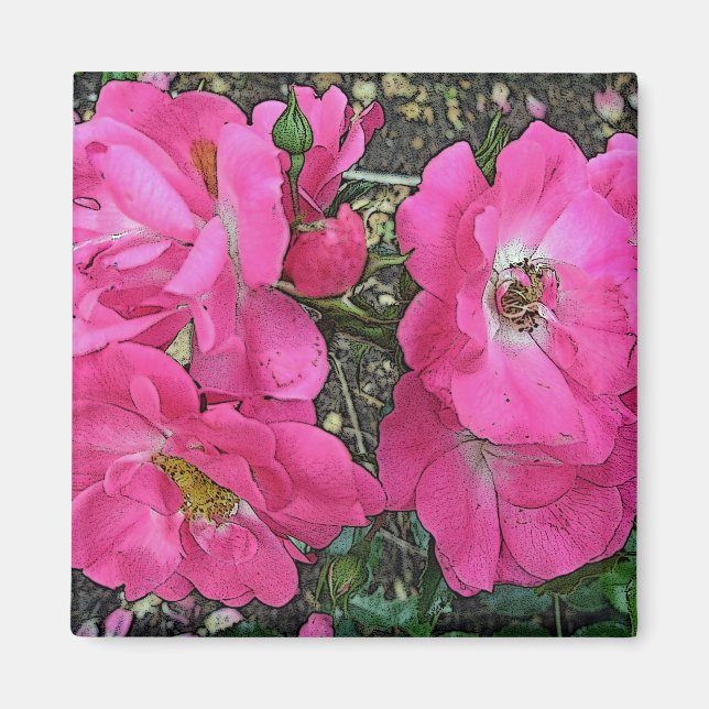 Imán Rosa de escalada rosa (Frente)