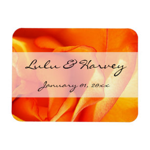 Imán Rosa de inflamación