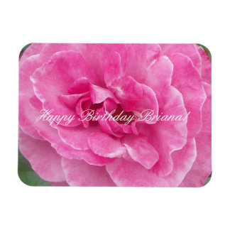 Imán Rosa de jardín rosado