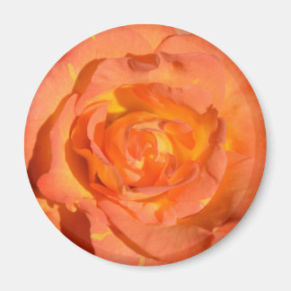 Imán Rosa de Lemones y Naranjas