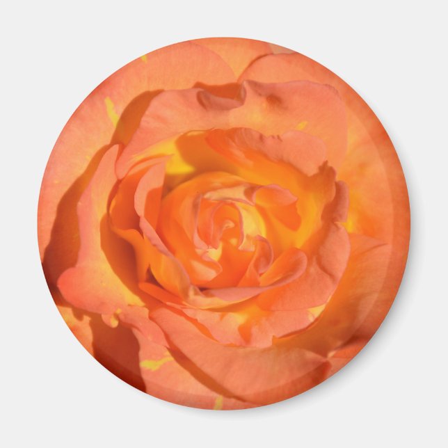 Imán Rosa de Lemones y Naranjas (Frente)