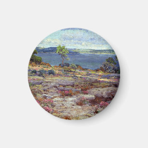 Imán Rosa de montaña en flor,