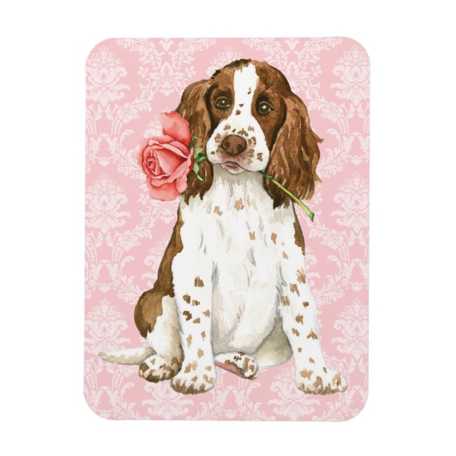 Imán Rosa de San Valentín Inglés Springer (Vertical)