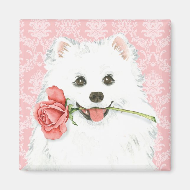 Imán Rosa de Valentine americano Eskimo Dog (Frente)