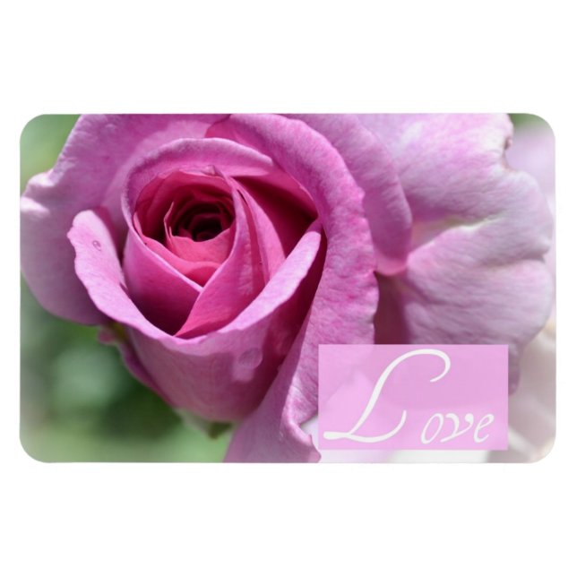 imán Rosa de verano (Horizontal)