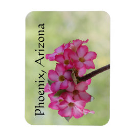 Imán Rosa del desierto en rosa Fénix, AZ