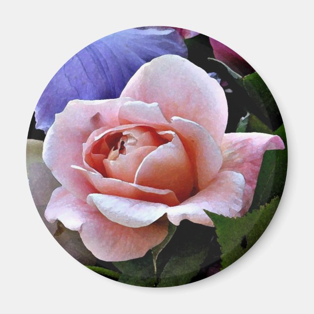Imán Rosa Delicado (Frente)