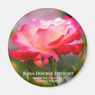 Imán Rosa Double Delight