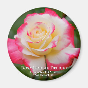 Imán Rosa Double Delight